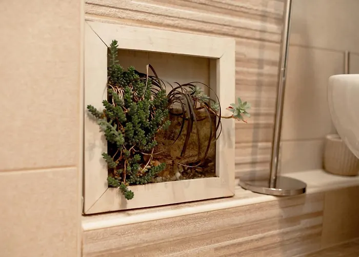 Diva * 아란젤로바츠