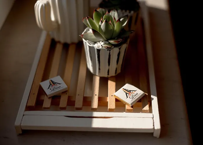 아파트 Diva 아란젤로바츠